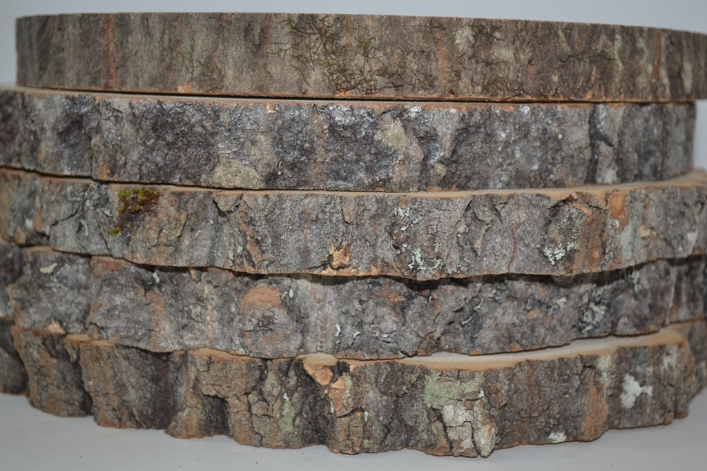 Aspen Wood Slices 9" to 11" diameter x .65- 1" thick Package of 10. Wholesale