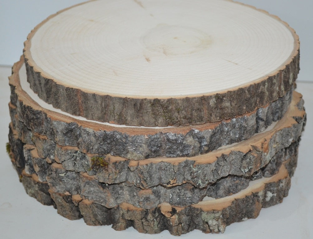 Aspen Wood Slices 9" to 11" diameter x 1" thick Package of 10. Wholesale