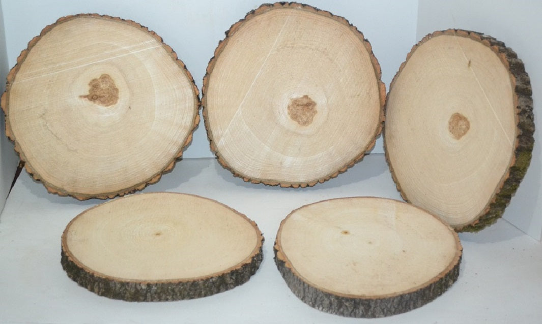 Aspen Wood Slice 7 1/2" to 9" diameter x .65 to 1" thick Package of 10 Wholesale