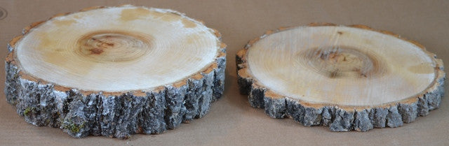 Aspen Wood Slices 10 1/2" to 12" diameter x 1" thick Package of 10. Wholesale