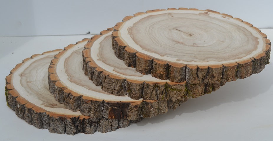 Wood Slices, Rounds, Slabs 11" to 12" diameter x 3/4" to 1.5" Small & WholeSale Packages