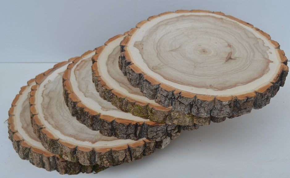 Balm of Gilead Wood Slices 11 1/2" to 12 1/2" diameter x 1" Package of 5.