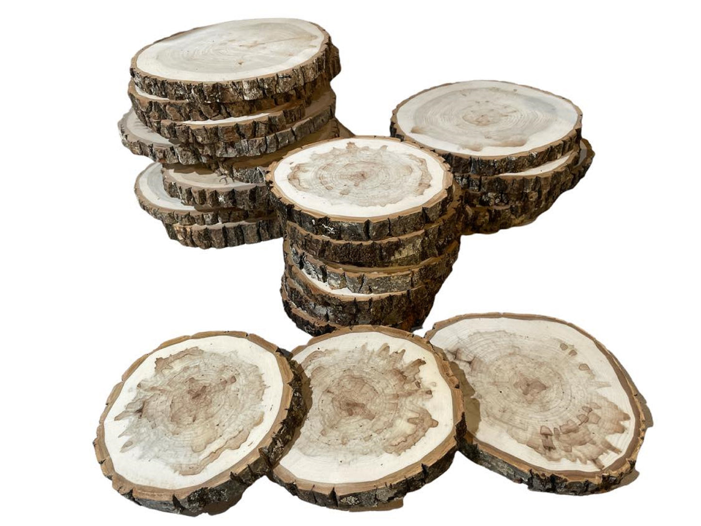 Balm of Gilead Wood Slices 9" to 11" diameter x 1" Small & Wholesale Quantities