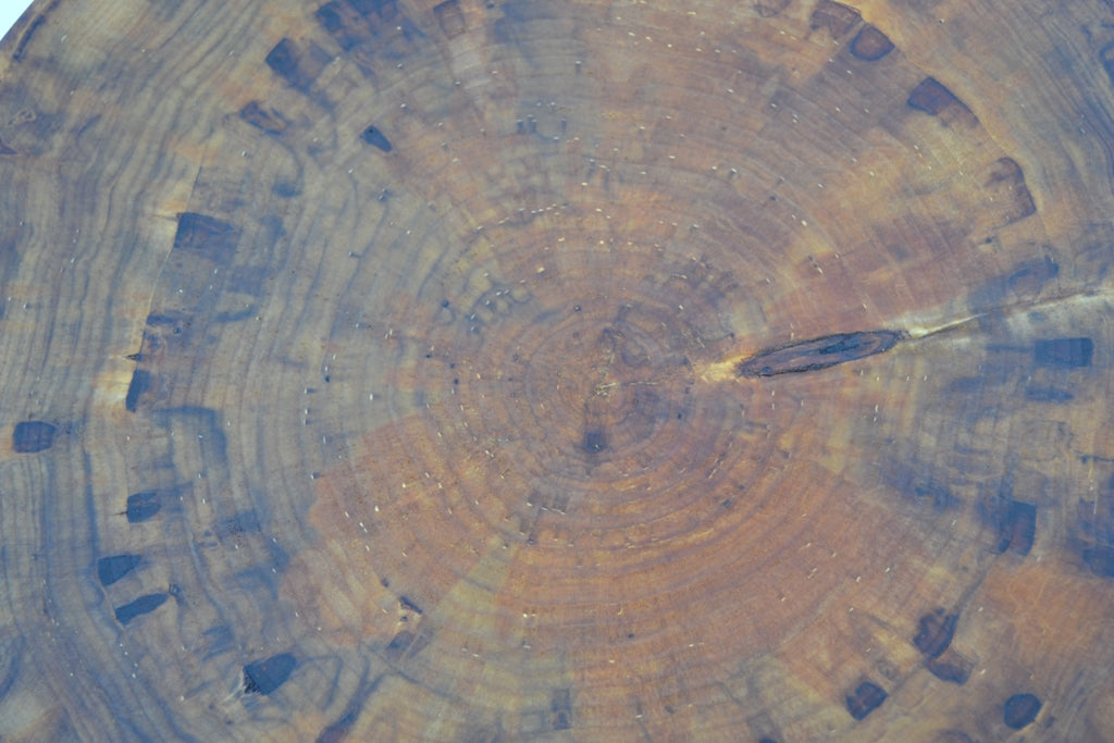 Rustic Lazy Susan Hand Crafted with Log Slices No Bark Turn Table