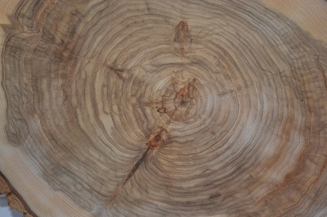 Balm of Gilead Wood Slice 16" to 18" Plus x 1 1/2"-2 Inch Thick With Food Grade Finish