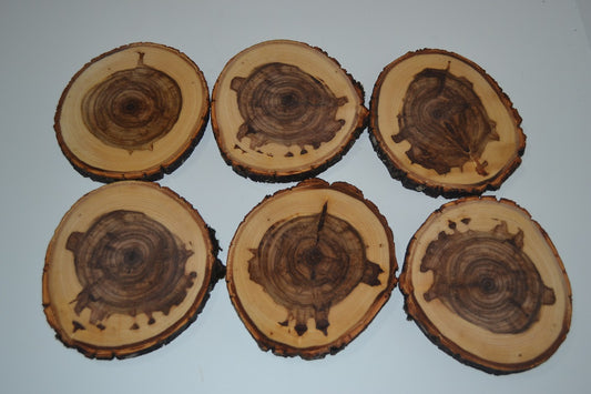 Balm of Gilead Log Coasters Set of Six 3 1/2"-4 1/2" Diameters