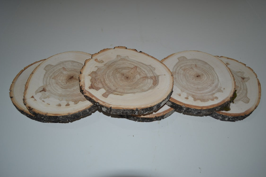 Balm of Gilead Log Coasters Set of Six 3 1/2"-4 1/2" Diameters