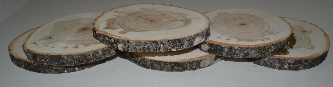 Balm of Gilead Log Slices 3" to 4 1/2" Set of Six