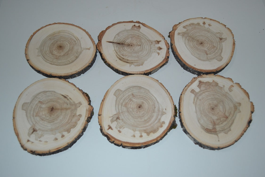 Balm of Gilead Log Slices 3" to 4 1/2" Set of Six