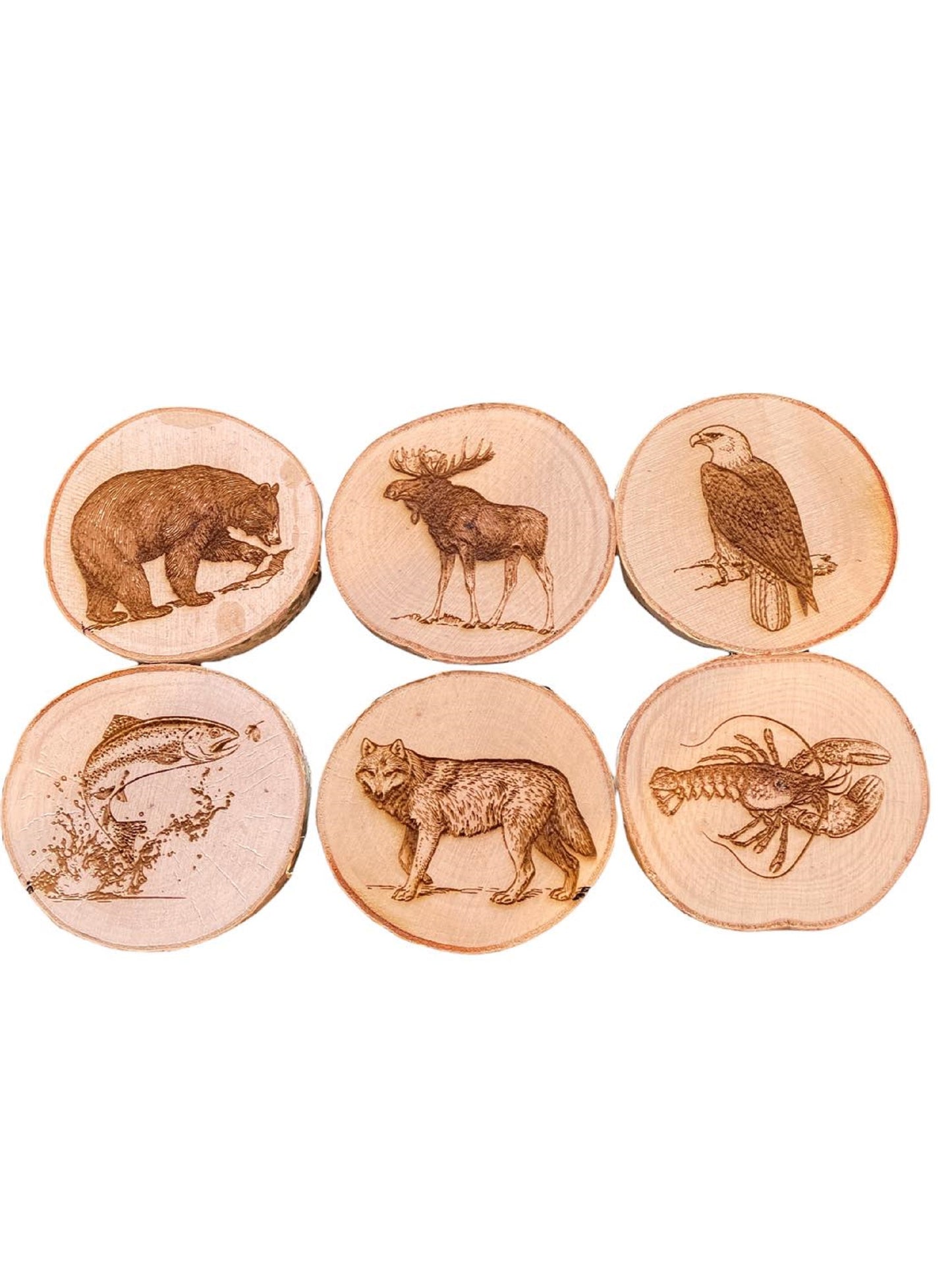 Engraved Birch Log Slice Coasters North American Wildlife 3 1/2"-4 1/2" Diameter Set of Six