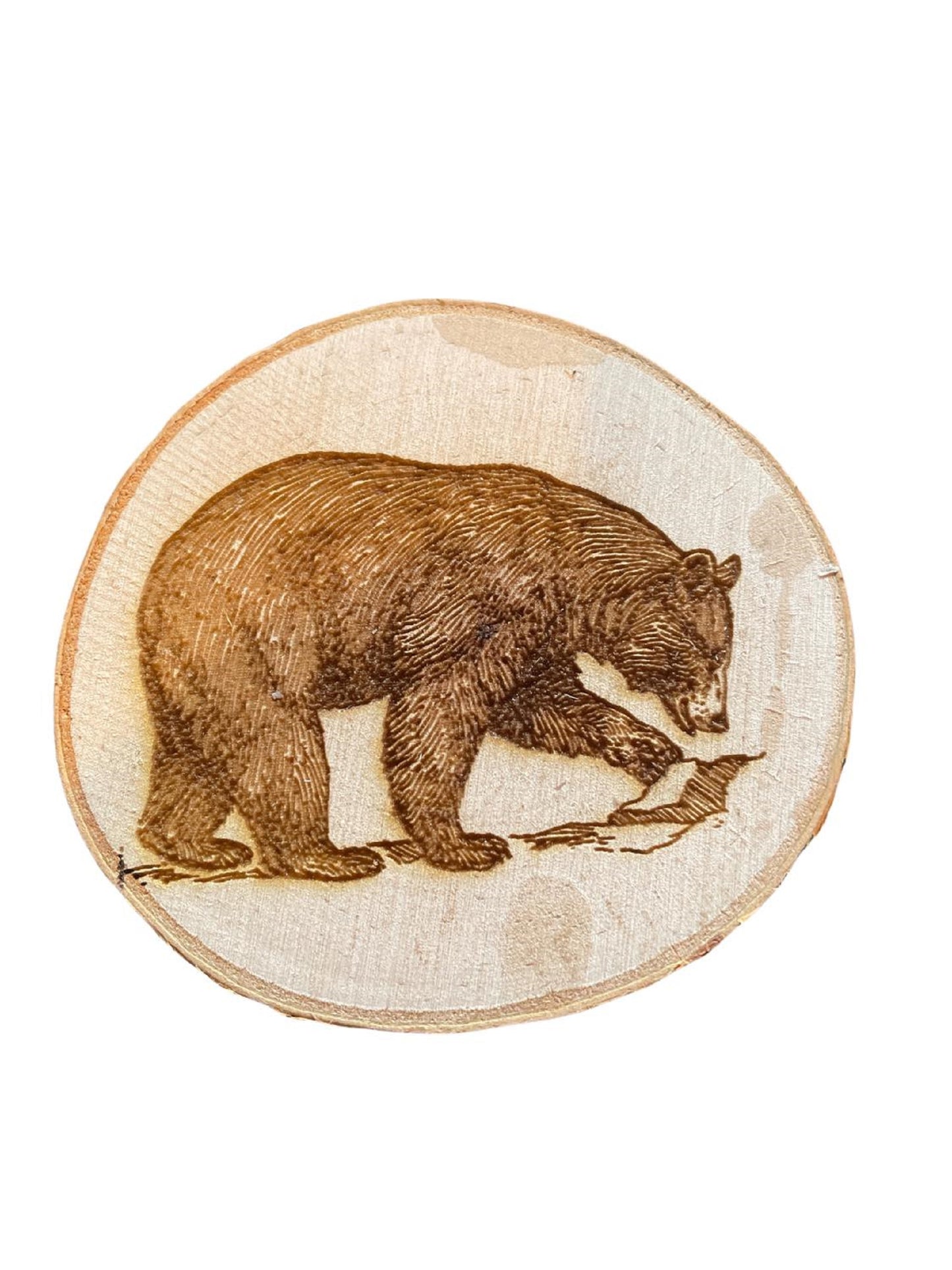 Engraved Birch Log Slice Coasters North American Wildlife 3 1/2"-4 1/2" Diameter Set of Six