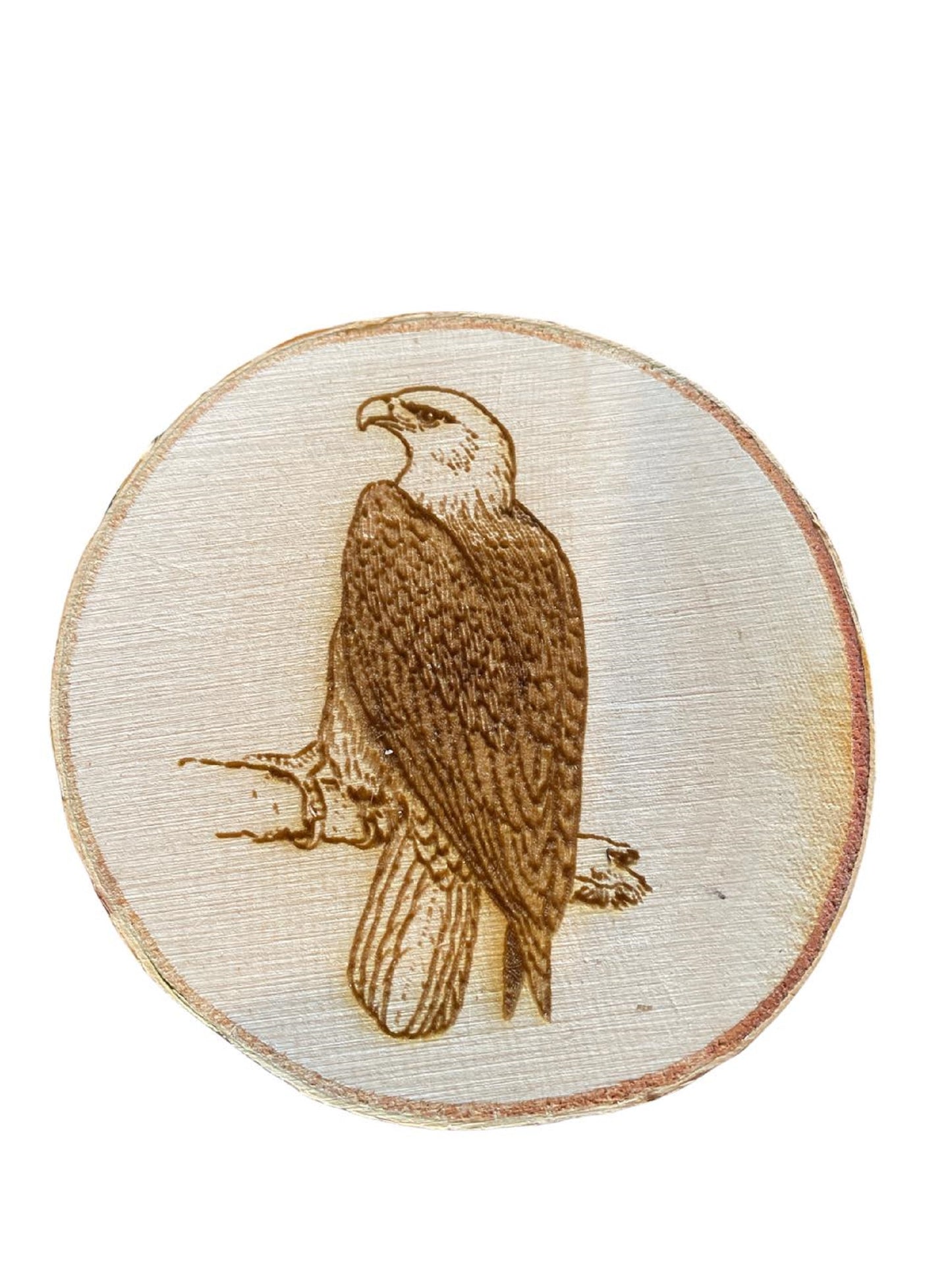 Engraved Birch Log Slice Coasters North American Wildlife 3 1/2"-4 1/2" Diameter Set of Six