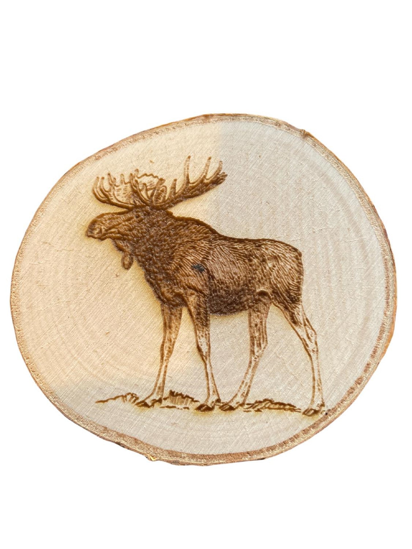 Engraved Birch Log Slice Coasters North American Wildlife 3 1/2"-4 1/2" Diameter Set of Six