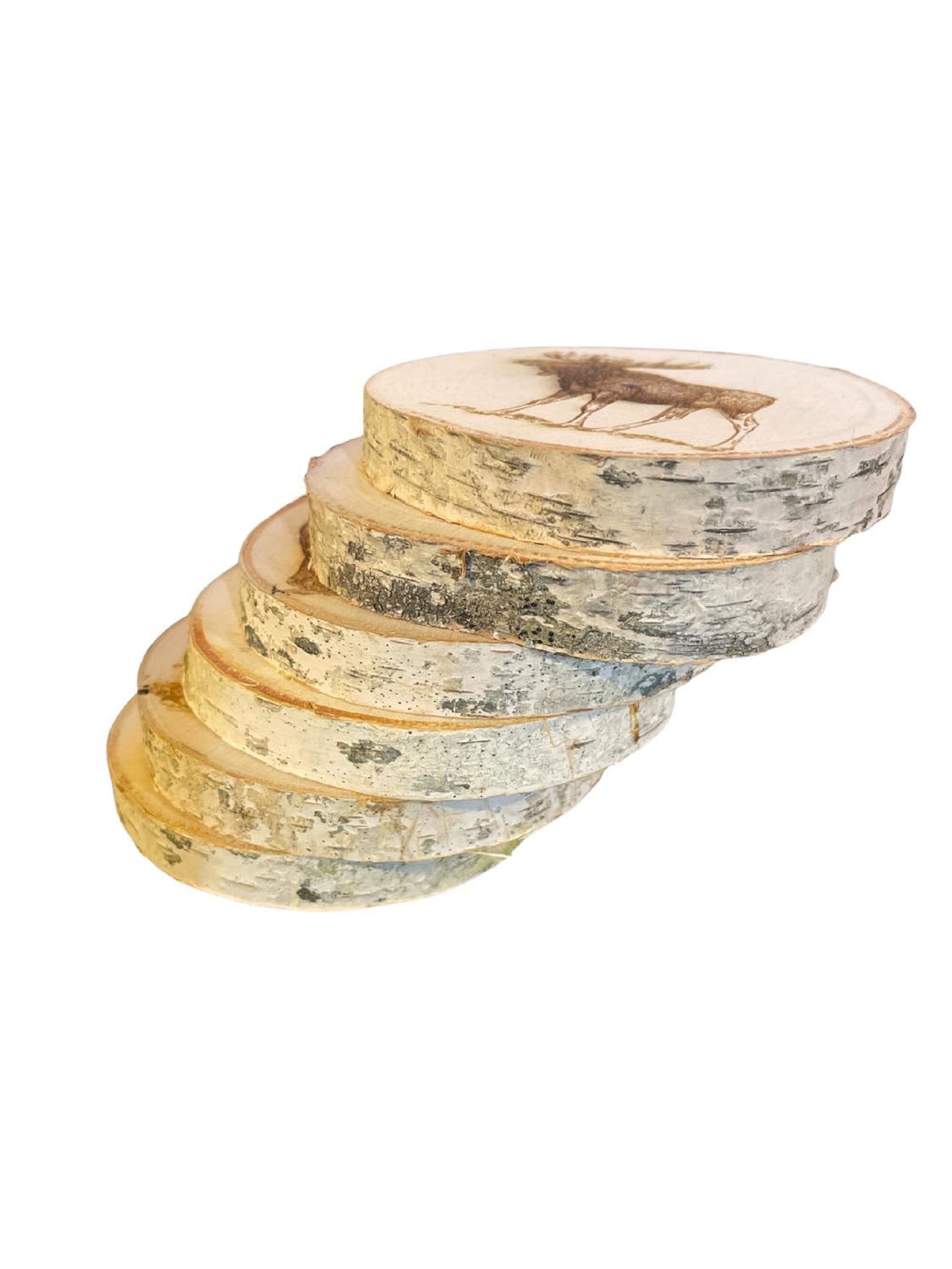 Engraved Birch Log Slice Coasters North American Wildlife 3 1/2"-4 1/2" Diameter Set of Six