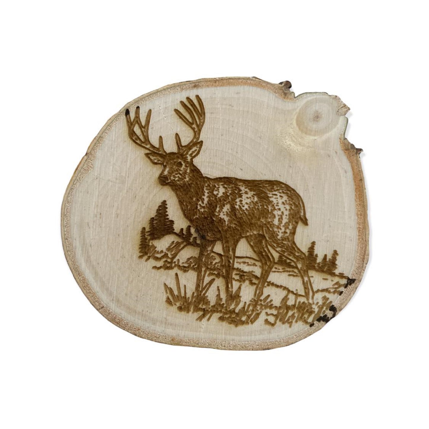 Engraved Birch Log Slice Coasters North American Wildlife 3 1/2"-4 1/2" Diameter Set of Six