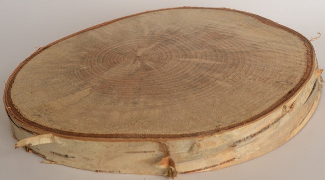 Birch Log/Tree Round/Slice/Disk <p>4 1/2" to 6" x 1" Thick Set of 5