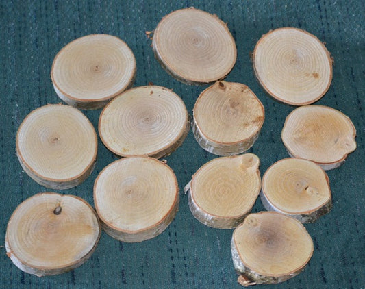 White Birch Log Slices WBS-2 <p> 1 1/2" to 2" D x 1" Thick x 25 qty.