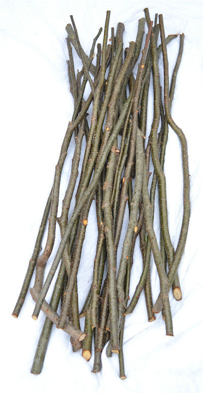 Alder Sticks/Twigs Furniture Crafts 1/2" to 3/4" x 36"