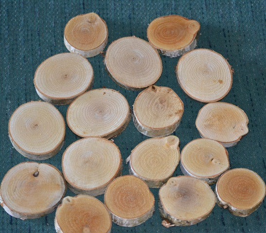 White Birch Log Slices WBS-2 <p> 1 1/2" to 2" D x 1" Thick x 25 qty.