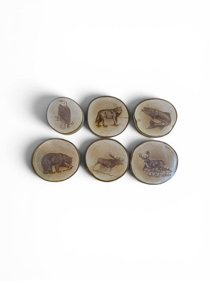 Engraved Birch Log Slice Coasters North American Wildlife 3 1/2"-4 1/2" Diameter Set of Six