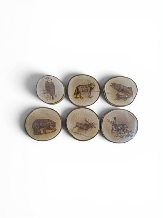 Engraved Birch Log Slice Coasters North American Wildlife 3 1/2"-4 1/2" Diameter Set of Six