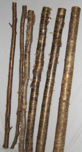 Yellow Birch Poles/Furniture Logs 4-Poles in Bundle