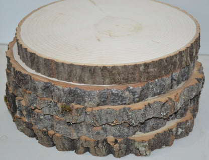 Aspen Wood Slices 8" to 8 1/2" diameter x 1" thick Package of 10. Wholesale