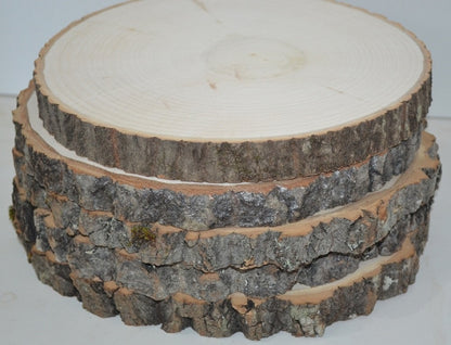 Aspen Wood Slice 5" to 7" diameter x 1" thick