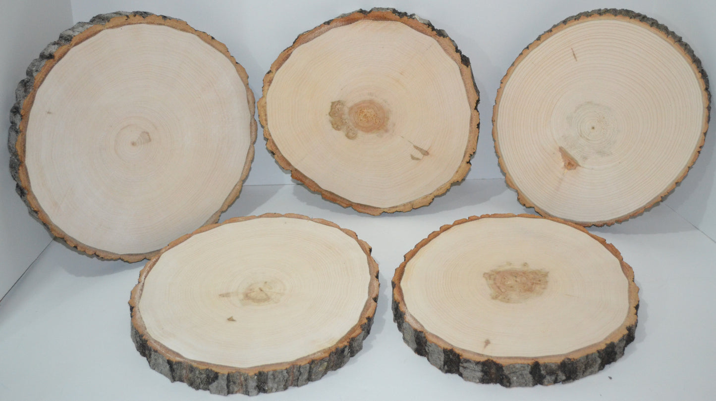 Aspen Wood Slices 10 1/2" to 12" diameter x 1" thick Package of 10. Wholesale