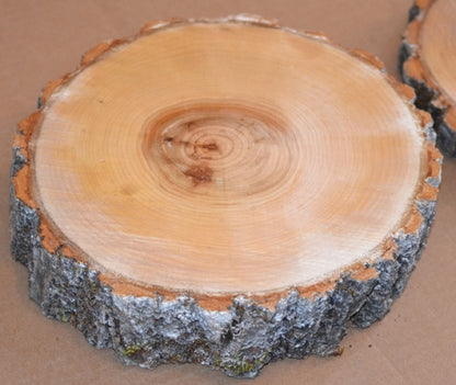 Aspen Wood Slices 9" to 11" diameter x 1" thick Package of 12. WholeSale