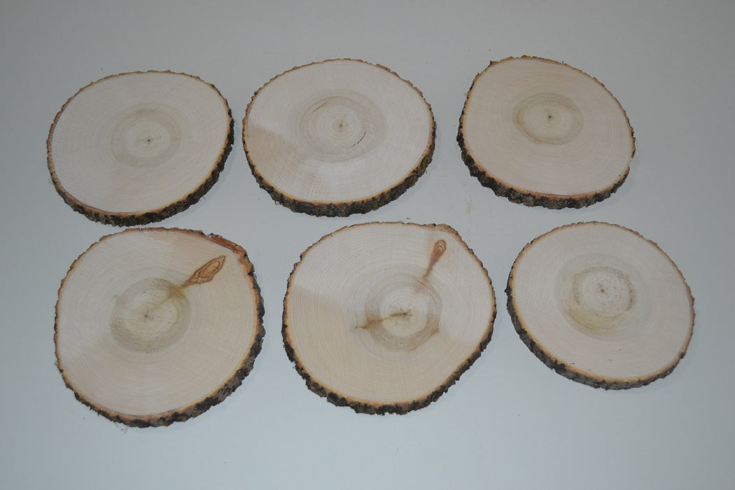 Aspen Log Coasters Set of Six