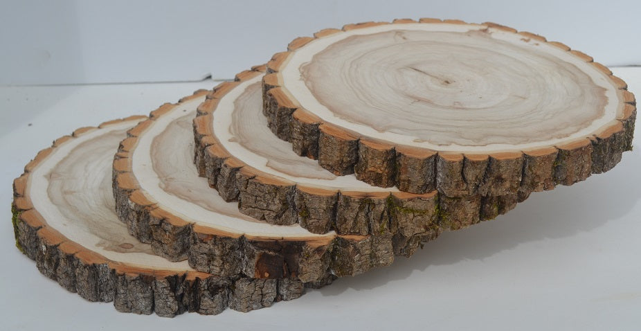 Wood Slices, Rounds, Slabs 11" to 12" diameter x 1" to 1.5" Small & WholeSale Packages