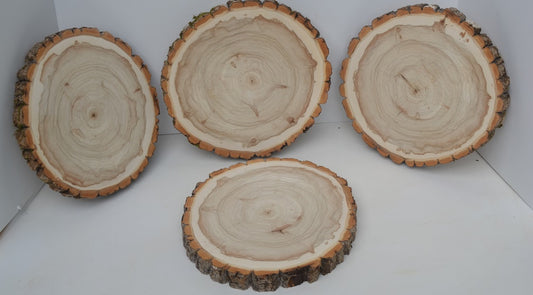Balm of Gilead Wood Slices 11" to 12" diameter x 1" Package of 4.