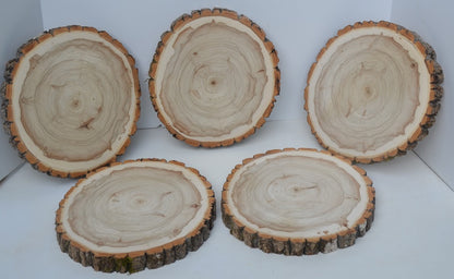 Balm of Gilead Wood Slices 11 1/2" to 12 1/2" diameter x 1" Package of 5.