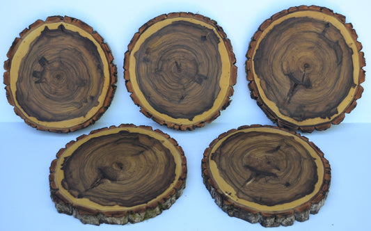 Balm of Gilead Wood Slices 9" to 10" diameter x 1" thick. With Oil Finish Package of 5.