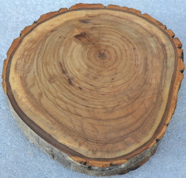 Balm of Gilead Wood Slice -   9 1/2" to 10 1/2" diameter x 1" thick