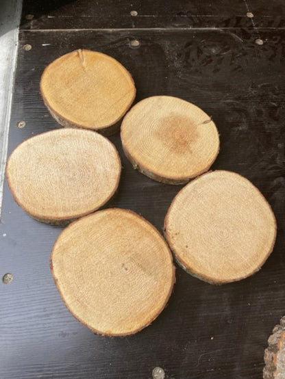 Balsam Fir Wood Slices - Ten  5" to 7" diameter x 3/4" to 1" thick Wholesale