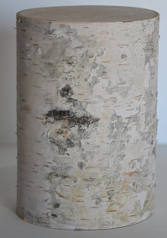 White Birch Pillars-(Set of Five) 3 1/2" to 5" Diameter 2" to 8" Tall Wholesale Pricing