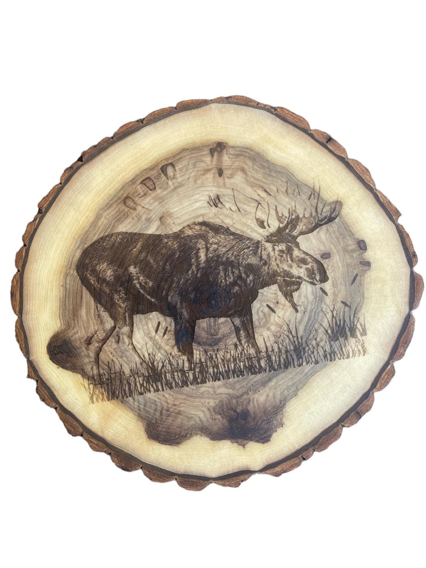 Moose Engraved Rustic Wood Slab, Charcuterie boards, Cutting Boards, Cake Stands, Serving Platters or Center Pieces With Bark