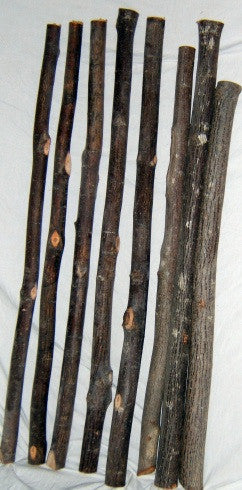 Moose Wood (Striped maple) Poles/Furniture Logs