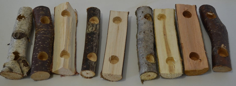 Natural Small Pet Chew - Play Logs