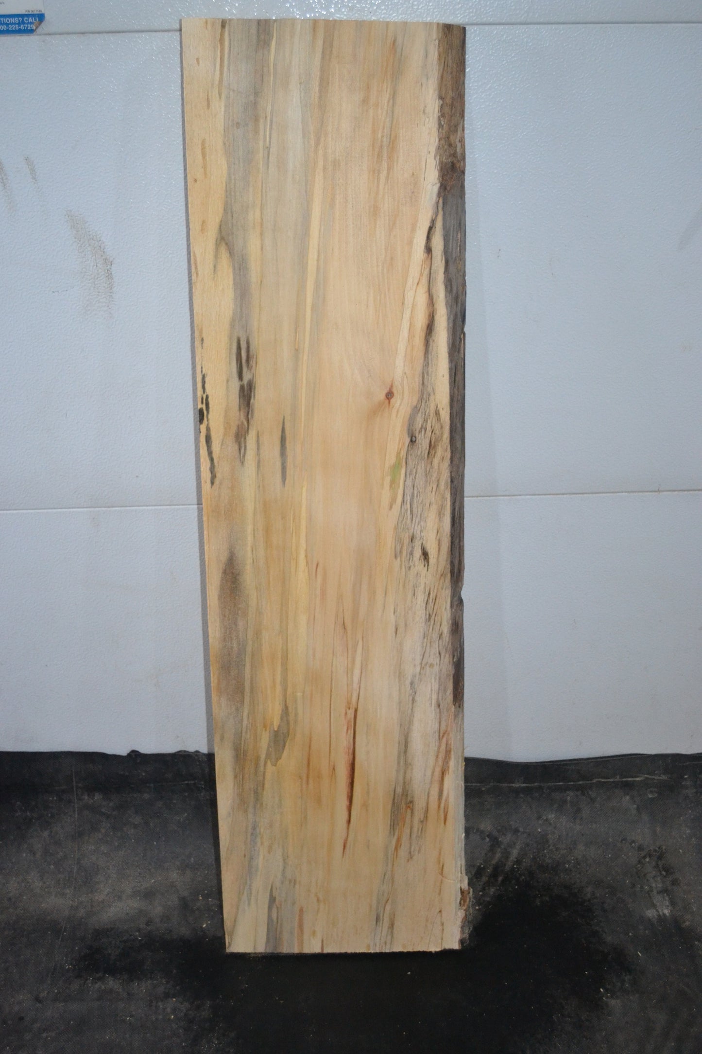 Spalted Aspen Live Edge Plank SA-1