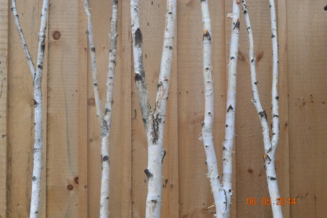 Birch Forked Poles               Two- 3ft to 4ft