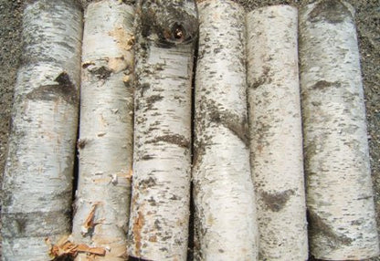 Birch FirePlace Logs Wholesale Bulk