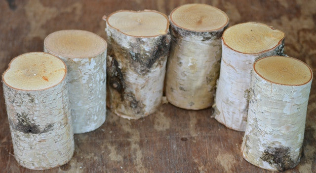 White Birch Mini Logs